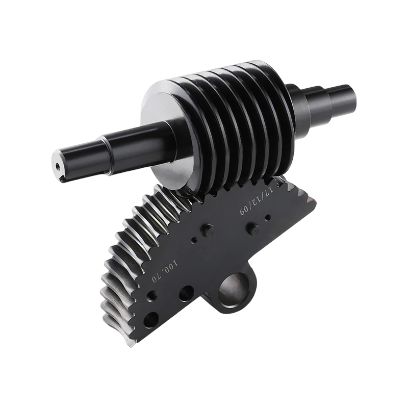 인기 판매 헬리컬 기어 식품 기계 웜 휠 웜 기어